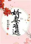 娇妻
