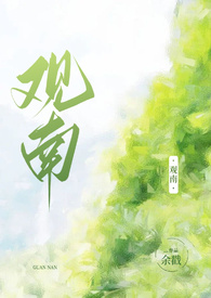 观南陌路小说